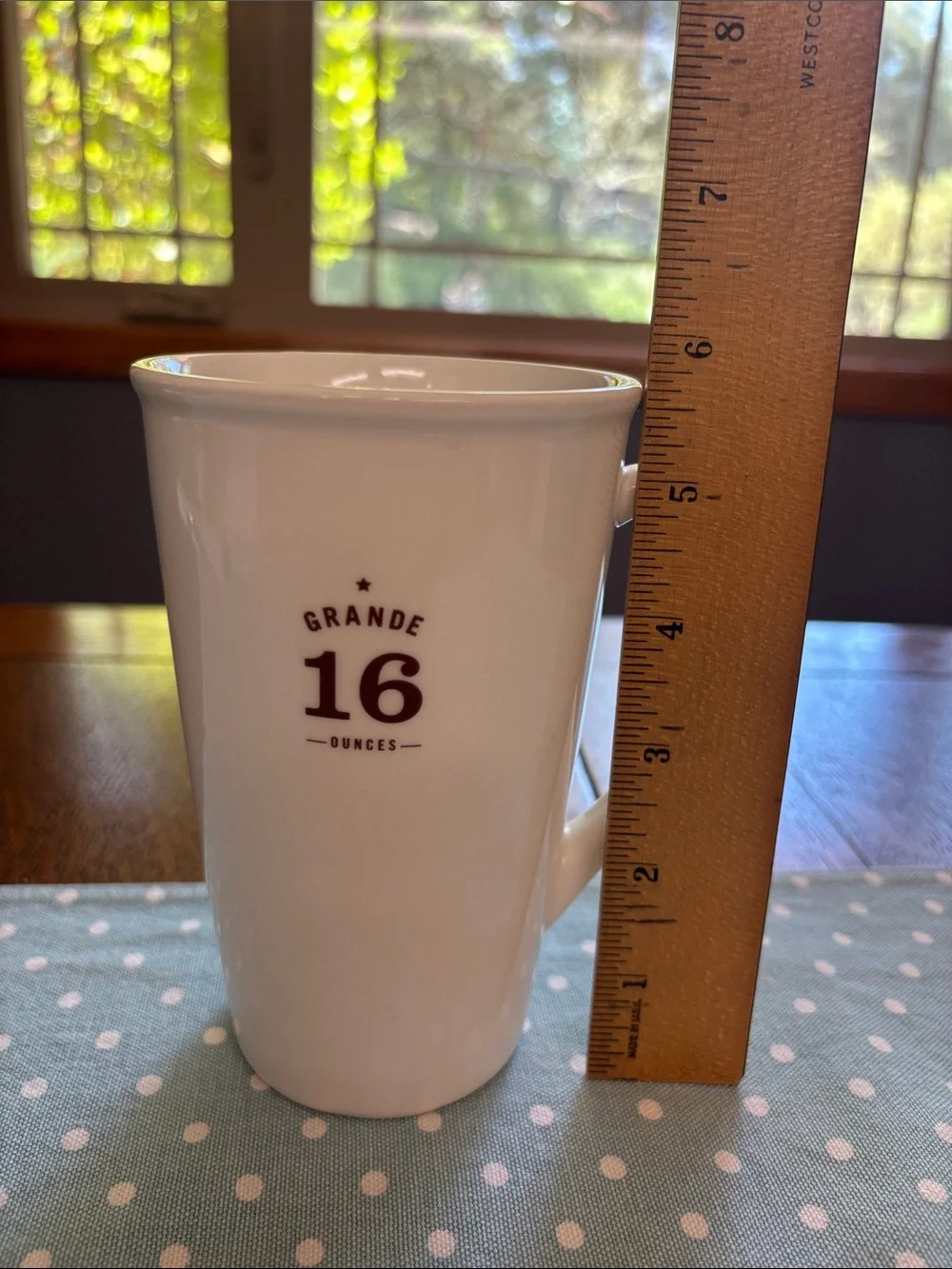 Starbucks | 2010 Grande 16 ounces | Off White, Brown Letters Tall Mug Cup EUC